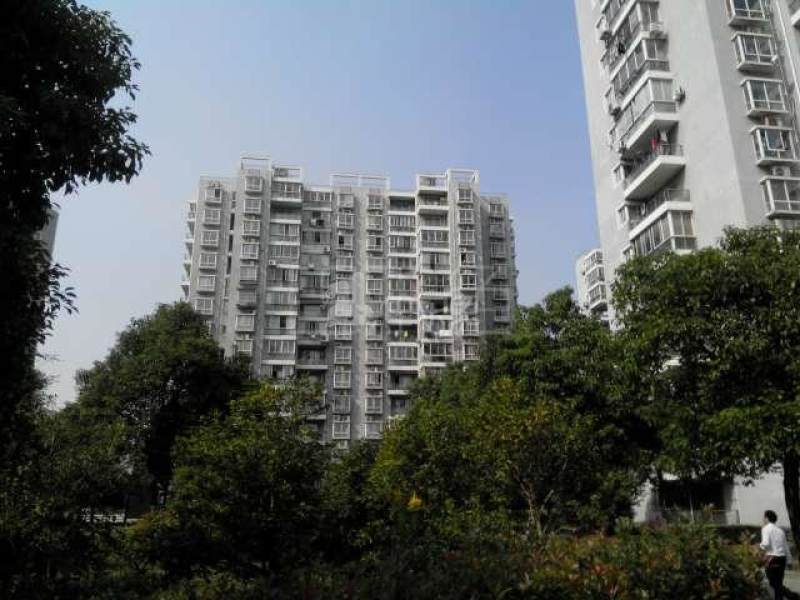 金东名苑东区1145215周边环境图6