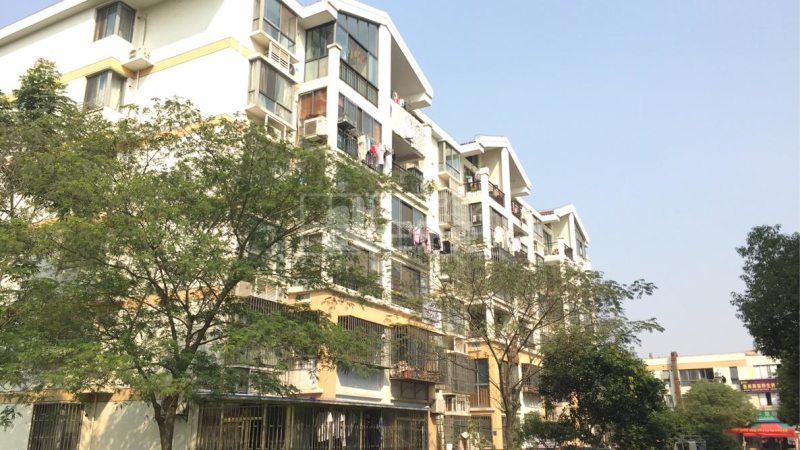 张江紫晶苑7088524周边环境图9