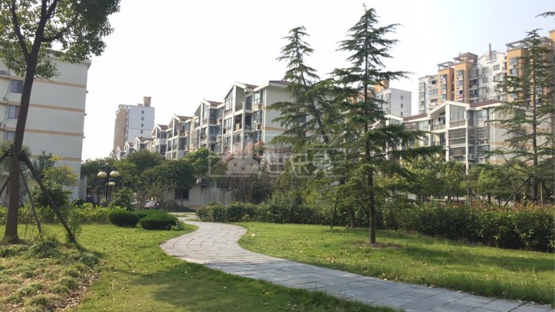 张江紫晶苑7088524周边环境图10