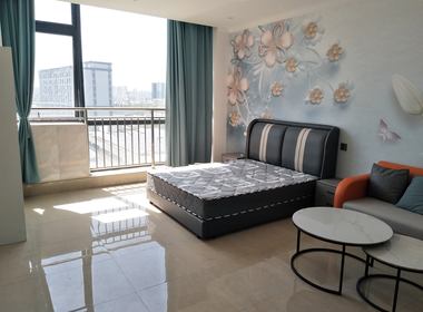 朴鲁汇·万羽数智谷 1室0厅1卫