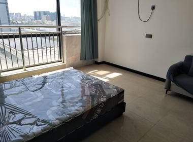 朴鲁汇·万羽数智谷 1室0厅1卫