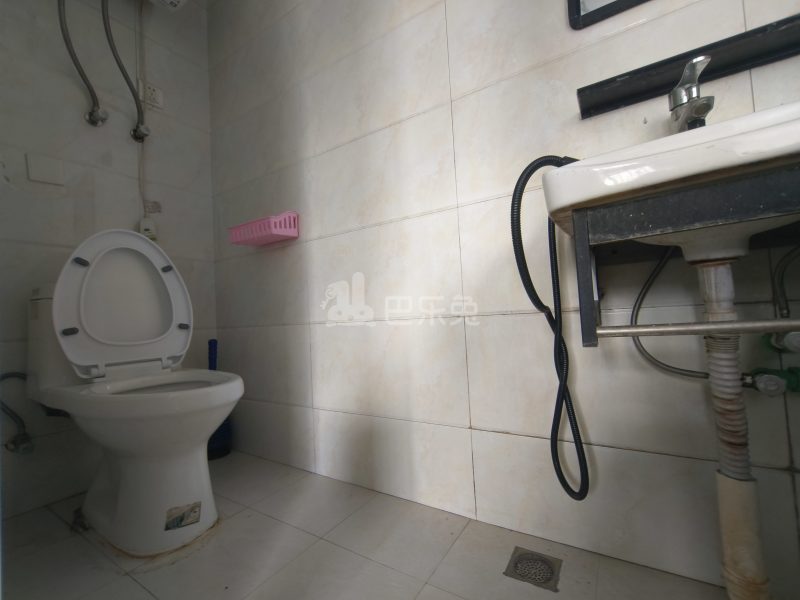 新联村新力（民房）13433179卫生间图5