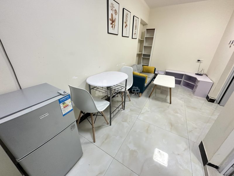 共和村13489834周边环境图2