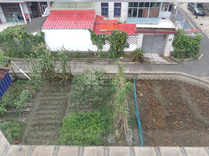 西新村大圩13497551周边环境图13