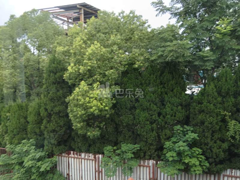 西新村大圩13497551周边环境图12