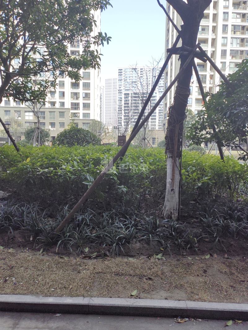 和平桥名苑西区13542384周边环境图5