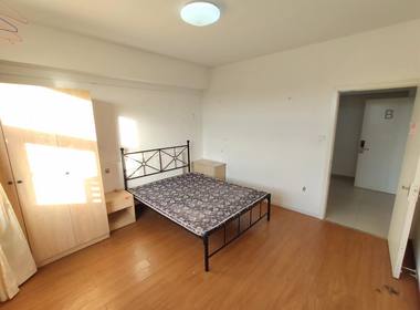 张江东区公寓 1室0厅0卫