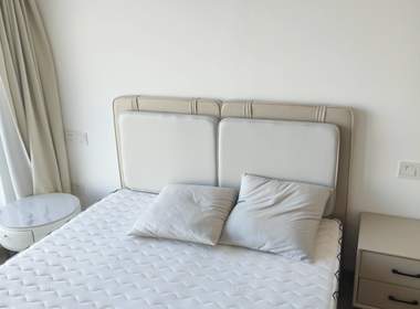 德信市心府（雅颂市心府） 1室0厅1卫