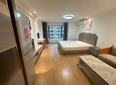 龙湖金地商置都会公馆 1室0厅1卫