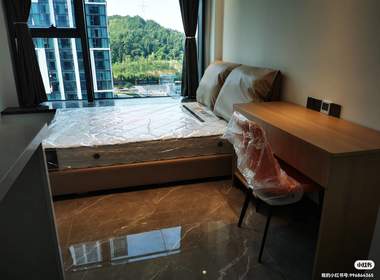 嘉合未来金座 1室1厅1卫