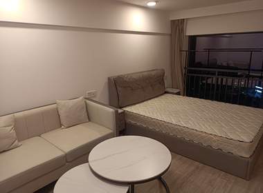 德信市心府（雅颂市心府） 