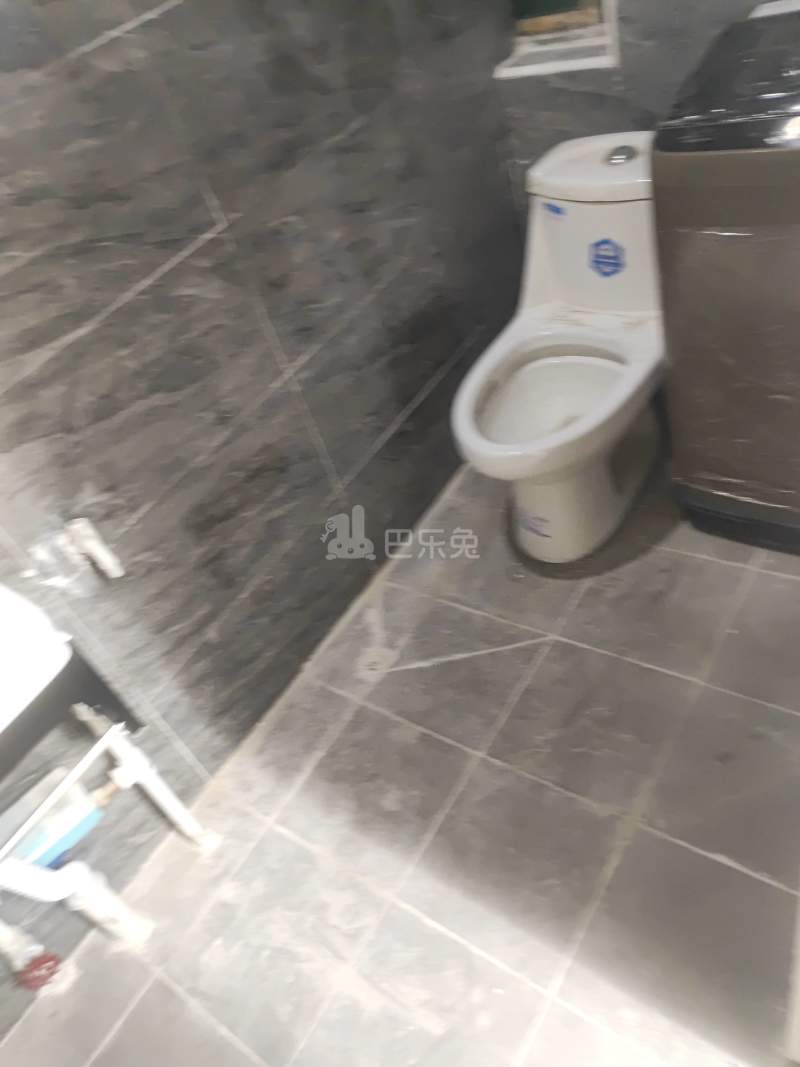 桂园别墅南区13720827卫生间图4