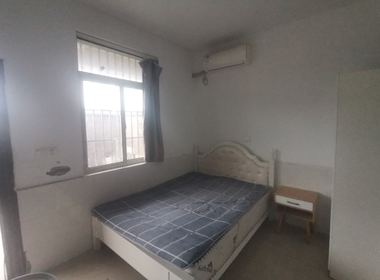 新联村新力（民房） 