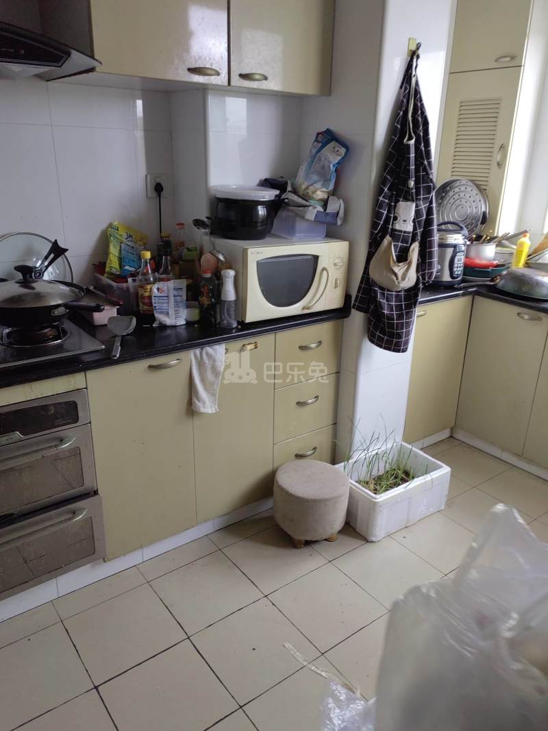 新梅共和城1375284厨房图9