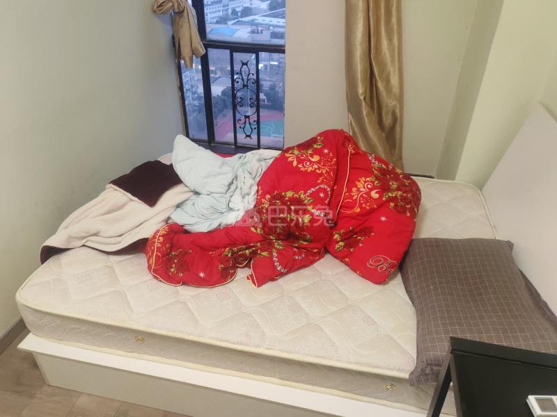 杨浦大厦13829422卧室图3