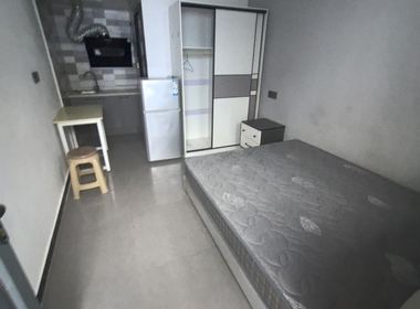 惠东村（村庄） 