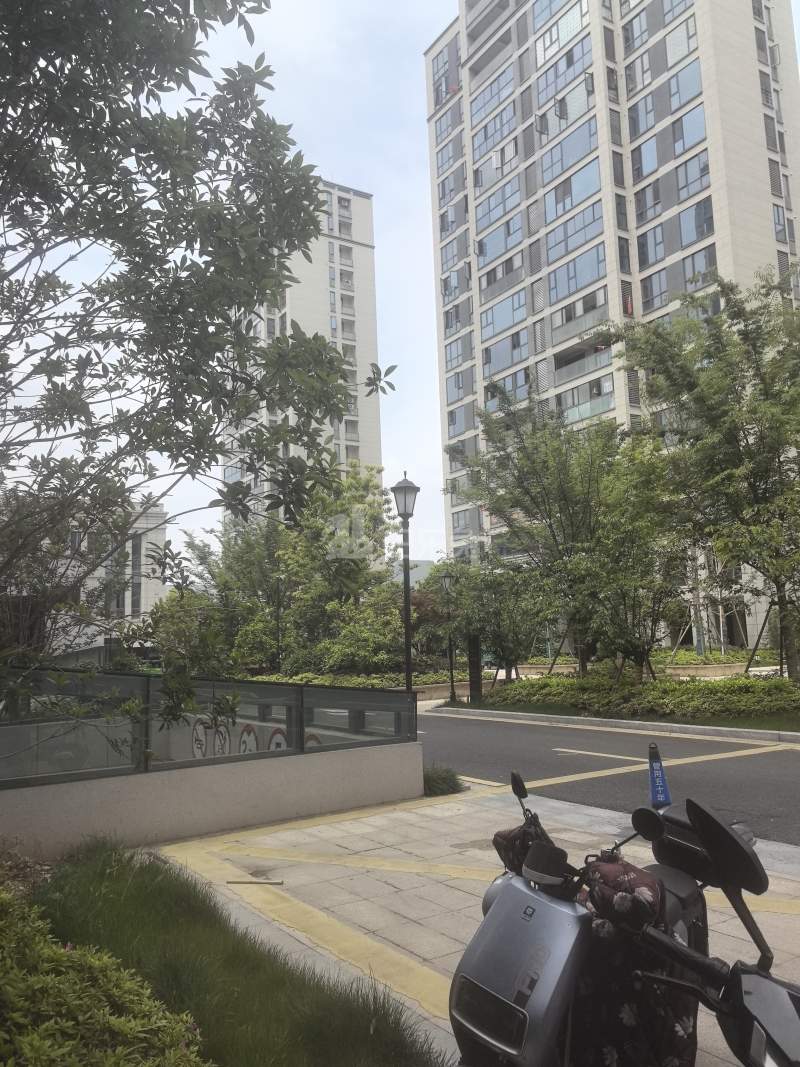 湖岸枫林雅庭13881536周边环境图7