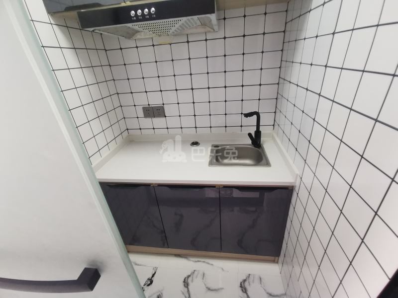 浏翔花苑（蕰北公路2371弄）13905485厨房图4