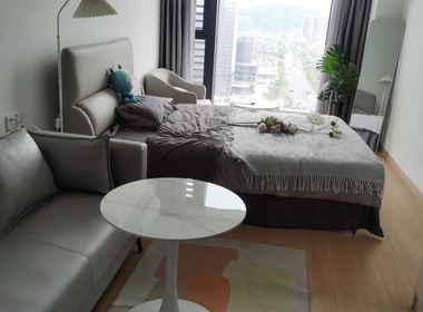 兰亭酒店公寓 1室1厅1卫