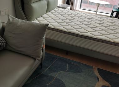 兰亭酒店公寓 1室0厅1卫