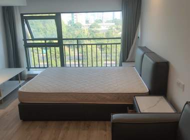 德信市心府（雅颂市心府） 