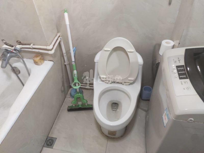 绿色丽园（大宁路667弄）1404418卫生间图11