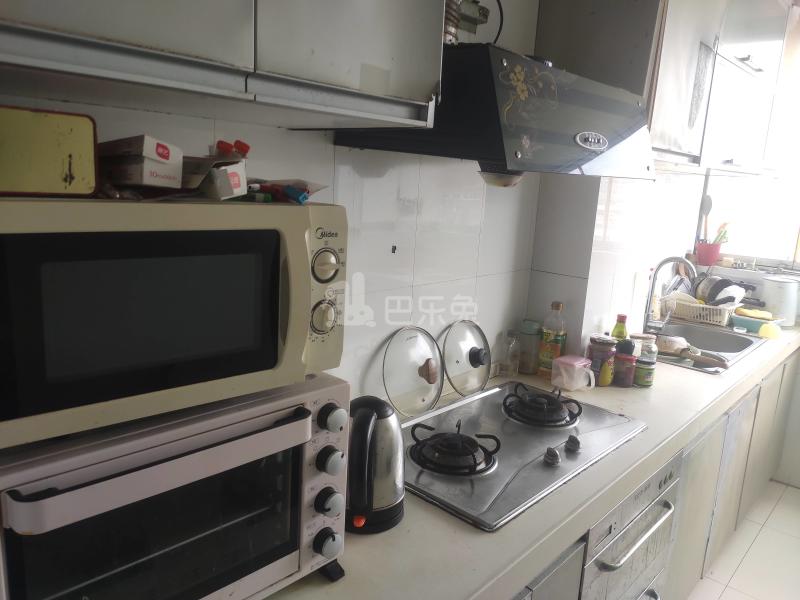 绿色丽园（大宁路667弄）1404418厨房图8