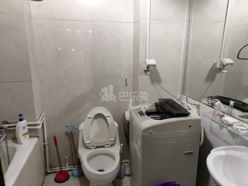 绿色丽园（大宁路667弄）1404418卫生间图9