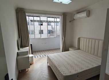 莘庄镇西街317弄 1室0厅1卫