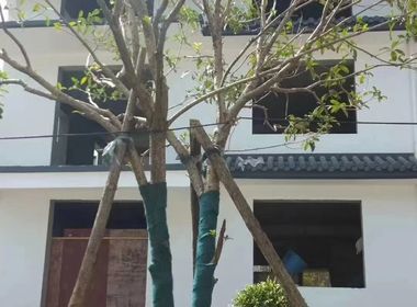 双峰新村 1室0厅0卫