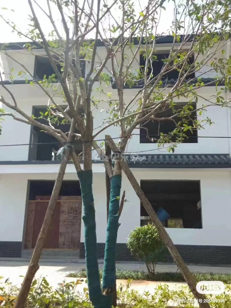 双峰新村14071708周边环境图0