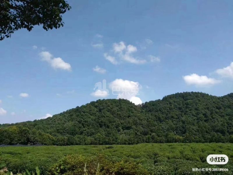 双峰新村14071708周边环境图1