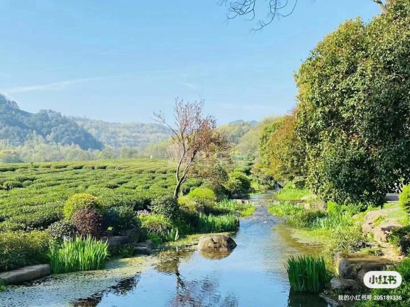 双峰新村14071708周边环境图2