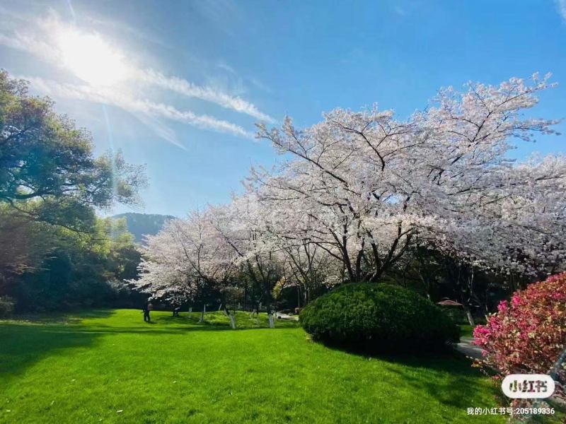 双峰新村14071708周边环境图3