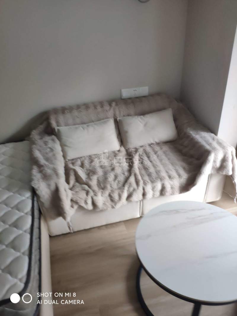 申花印月14075379卧室图3