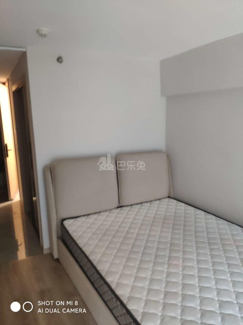 申花印月14075379卧室图0