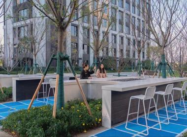 龙湖星图 1室1厅1卫