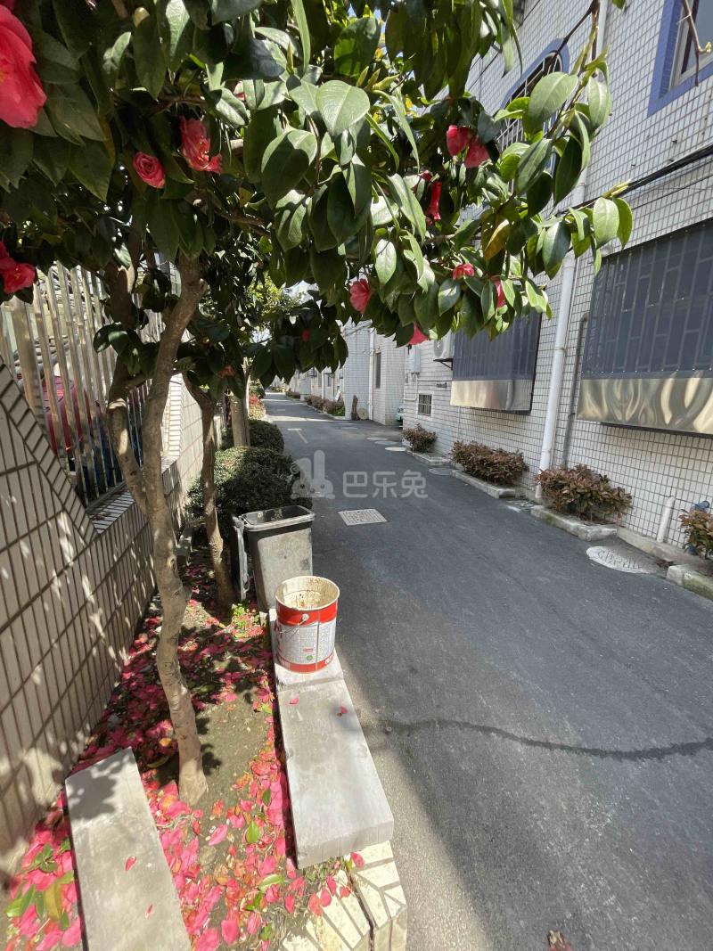 大场镇华欣苑14157944周边环境图5