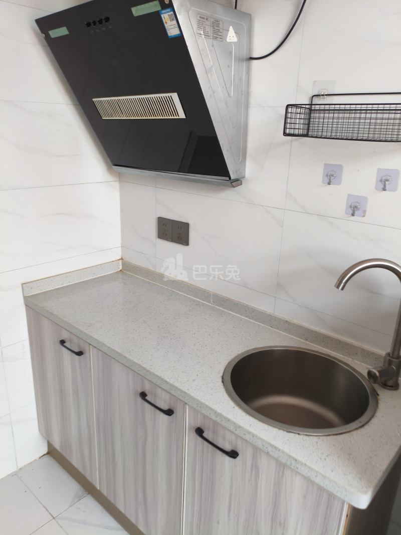 惠东村（村庄）14178607厨房图4