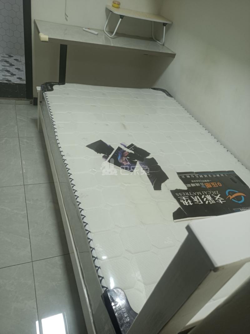 滨浦新苑二村14181608卧室图2