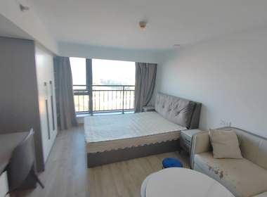 德信市心府（雅颂市心府） 