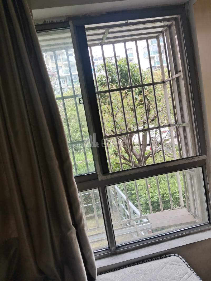 银河新都14503995卧室窗户图13