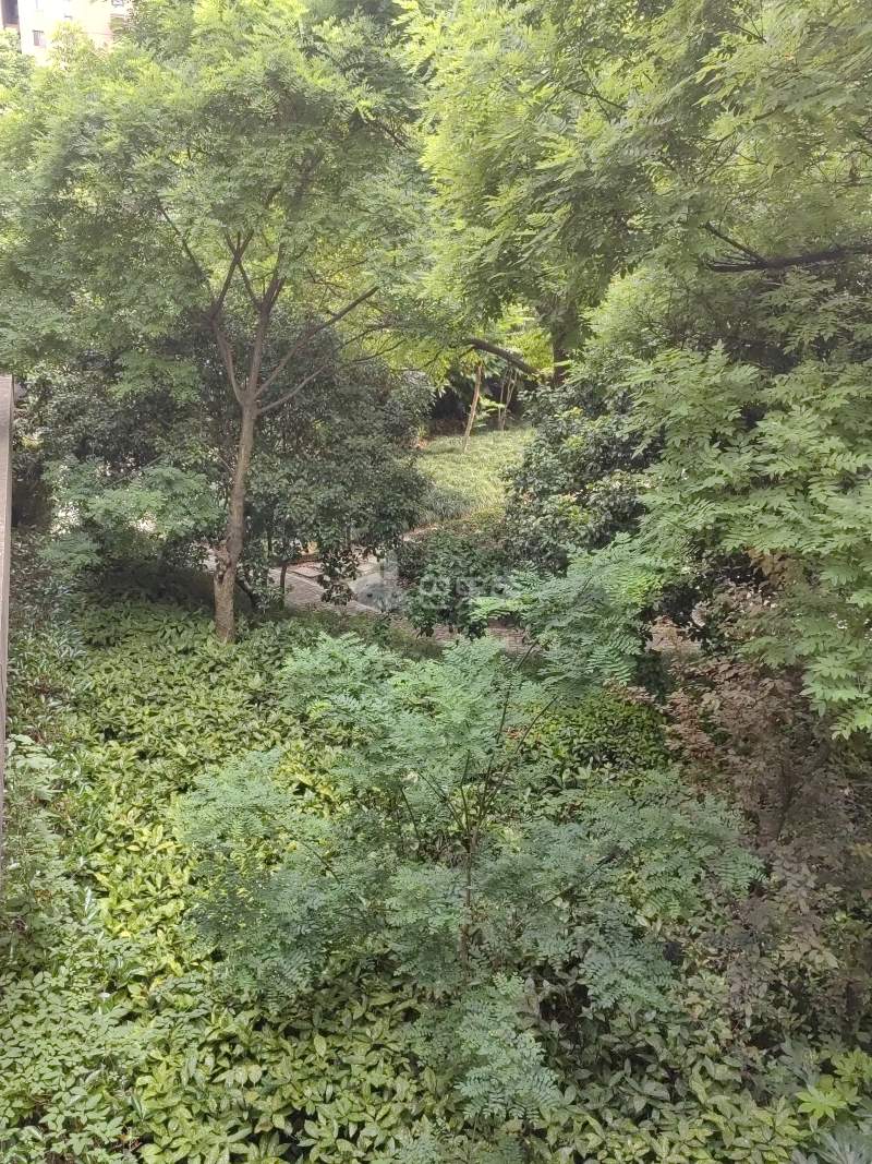 荔枝屋14580106周边环境图7