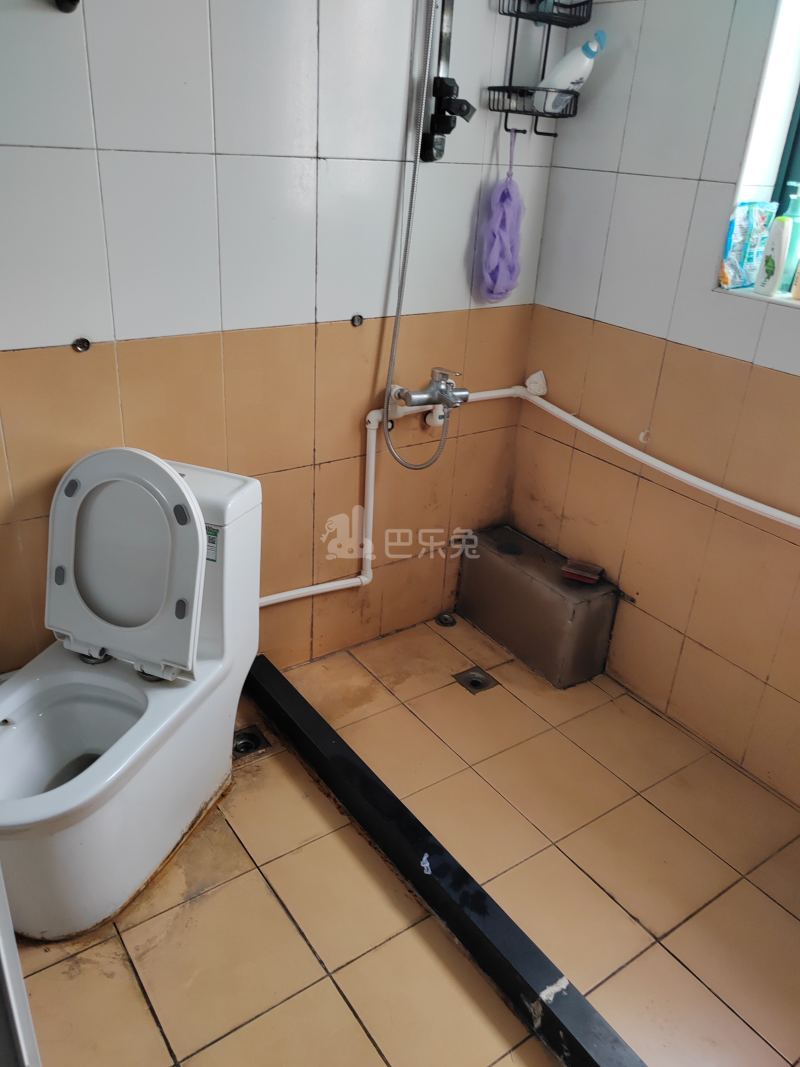 九州丽园14667469卫生间图15