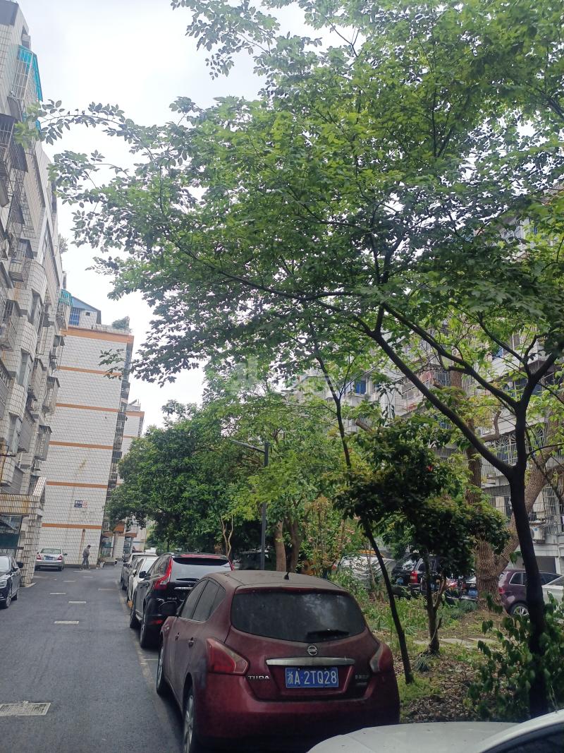 潘水苑14695853周边环境图20