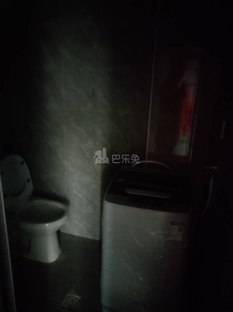 亭中小区1472454卫生间图4