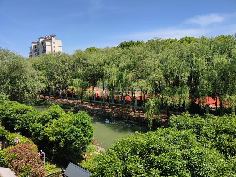 中大九里德一期14752864卧室图1