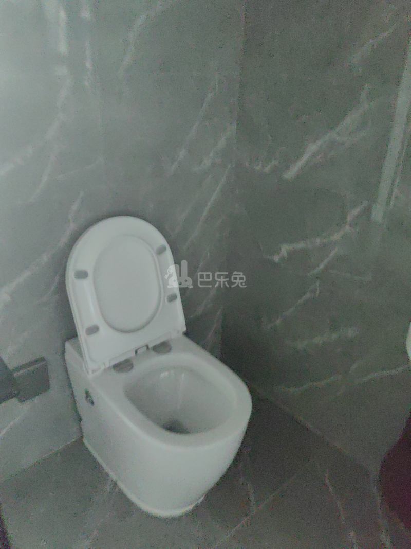 嘉合未来金座14936758卫生间图4