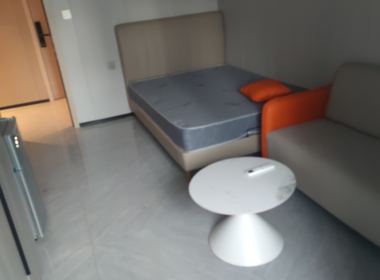 东滨路4084号 1室0厅1卫