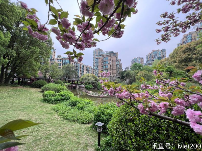 春天15068657周边环境图7